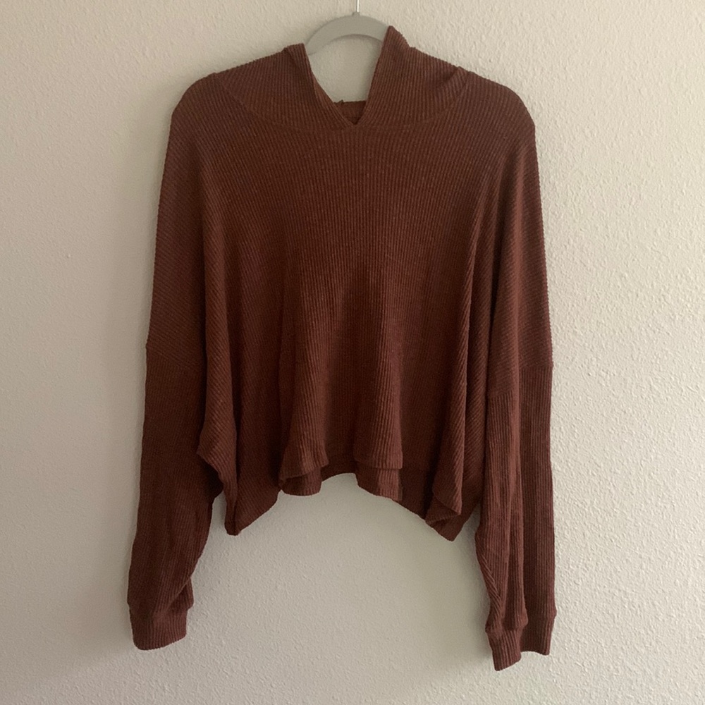 American Eagle Cropped Sweater Hoodie